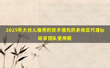 2025年大伙儿推荐的技术领先的多地区代理ip研发团队使用教程