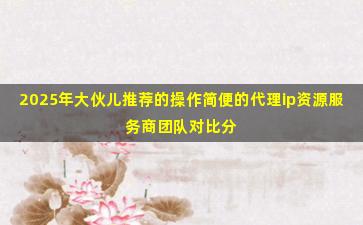 2025年大伙儿推荐的操作简便的代理ip资源服务商团队对比分析