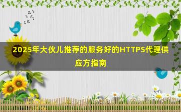 2025年大伙儿推荐的服务好的HTTPS代理供应方指南