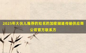 2025年大伙儿推荐的知名的加密隧道传输供应商公司官方联系方式