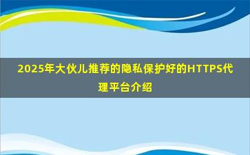 2025年大伙儿推荐的隐私保护好的HTTPS代理平台介绍