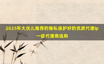 2025年大伙儿推荐的隐私保护好的优质代理ip一级代理商选购建议