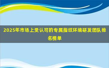 2025年市场上受认可的专属指纹环境研发团队排名榜单