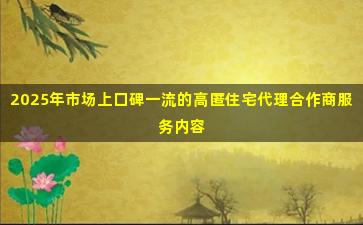 2025年市场上口碑一流的高匿住宅代理合作商服务内容