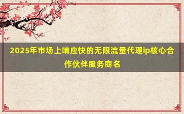 2025年市场上响应快的无限流量代理ip核心合作伙伴服务商名录
