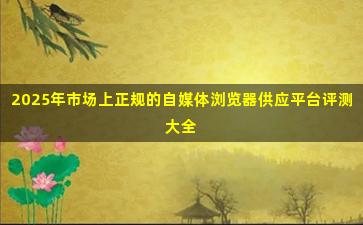 2025年市场上正规的自媒体浏览器供应平台评测大全