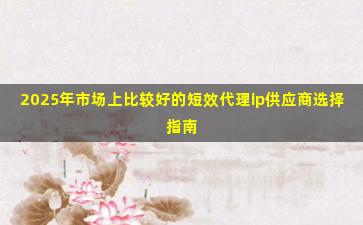 2025年市场上比较好的短效代理ip供应商选择指南