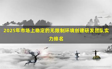 2025年市场上稳定的无限制环境创建研发团队实力排名