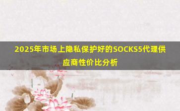 2025年市场上隐私保护好的SOCKS5代理供应商性价比分析
