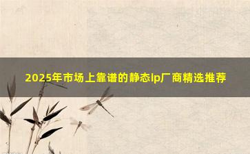2025年市场上靠谱的静态ip厂商精选推荐
