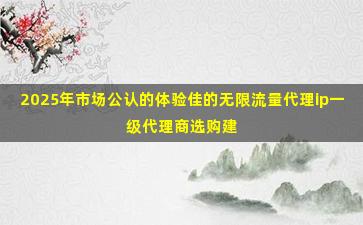 2025年市场公认的体验佳的无限流量代理ip一级代理商选购建议