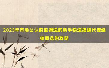 2025年市场公认的值得选的新手快速搭建代理经销商选购攻略