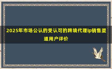 2025年市场公认的受认可的跨境代理ip销售渠道用户评价