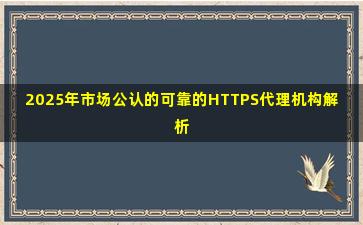2025年市场公认的可靠的HTTPS代理机构解析
