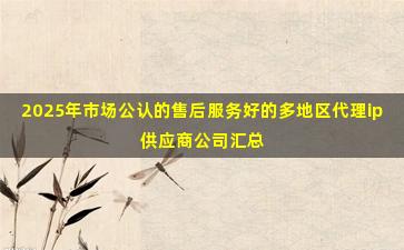 2025年市场公认的售后服务好的多地区代理ip供应商公司汇总