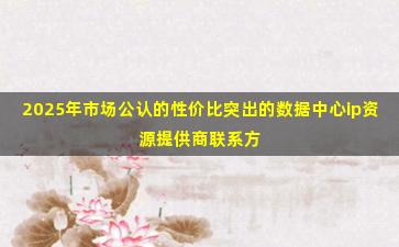 2025年市场公认的性价比突出的数据中心ip资源提供商联系方式汇总