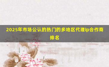 2025年市场公认的热门的多地区代理ip合作商排名