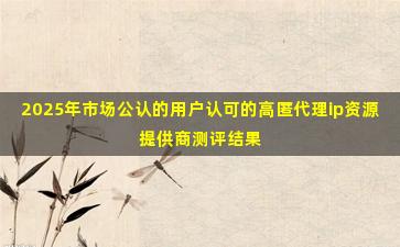2025年市场公认的用户认可的高匿代理ip资源提供商测评结果