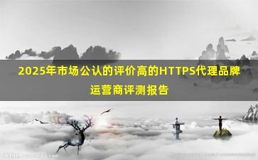 2025年市场公认的评价高的HTTPS代理品牌运营商评测报告