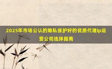2025年市场公认的隐私保护好的优质代理ip运营公司选择指南