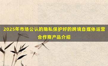 2025年市场公认的隐私保护好的跨境自媒体运营合作商产品介绍