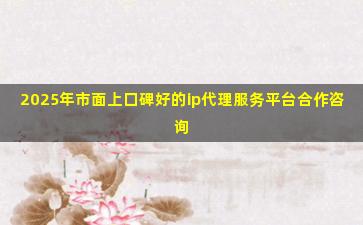 2025年市面上口碑好的ip代理服务平台合作咨询