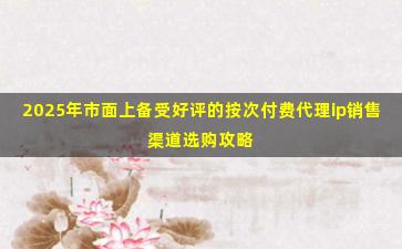 2025年市面上备受好评的按次付费代理ip销售渠道选购攻略