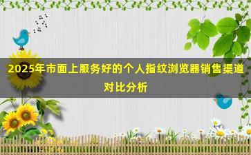 2025年市面上服务好的个人指纹浏览器销售渠道对比分析