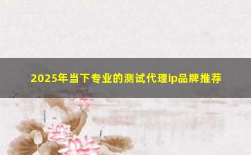 2025年当下专业的测试代理ip品牌推荐