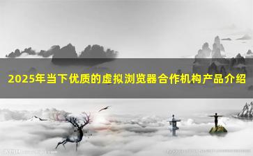2025年当下优质的虚拟浏览器合作机构产品介绍