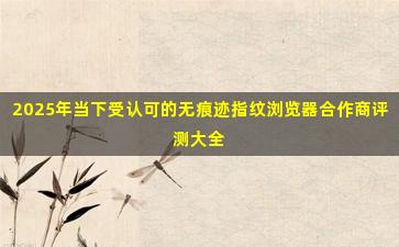 2025年当下受认可的无痕迹指纹浏览器合作商评测大全