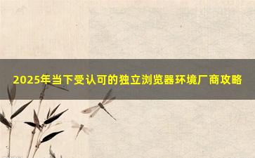 2025年当下受认可的独立浏览器环境厂商攻略