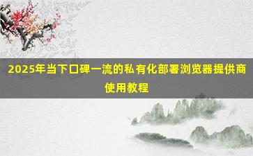 2025年当下口碑一流的私有化部署浏览器提供商使用教程