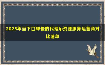 2025年当下口碑佳的代理ip资源服务运营商对比清单