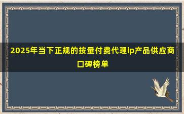 2025年当下正规的按量付费代理ip产品供应商口碑榜单