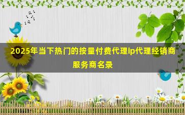 2025年当下热门的按量付费代理ip代理经销商服务商名录