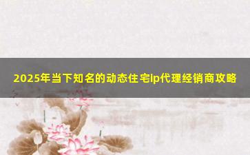 2025年当下知名的动态住宅ip代理经销商攻略
