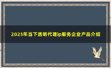 2025年当下透明代理ip服务企业产品介绍