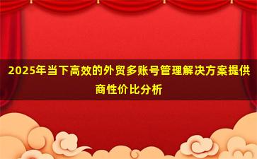 2025年当下高效的外贸多账号管理解决方案提供商性价比分析