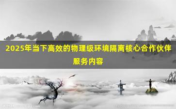 2025年当下高效的物理级环境隔离核心合作伙伴服务内容