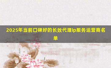 2025年当前口碑好的长效代理ip服务运营商名单