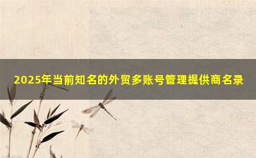 2025年当前知名的外贸多账号管理提供商名录