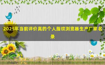 2025年当前评价高的个人指纹浏览器生产厂家名录