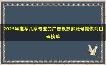 2025年推荐几家专业的广告投放多账号提供商口碑榜单