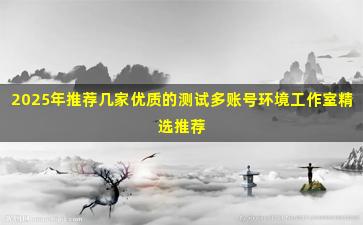 2025年推荐几家优质的测试多账号环境工作室精选推荐