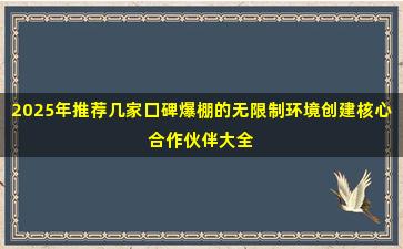 2025年推荐几家口碑爆棚的无限制环境创建核心合作伙伴大全