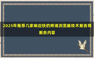 2025年推荐几家响应快的跨境浏览器技术服务商服务内容