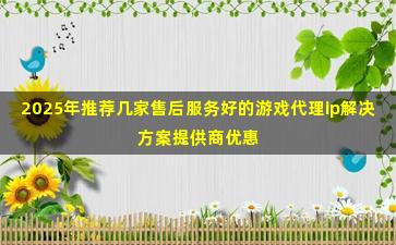 2025年推荐几家售后服务好的游戏代理ip解决方案提供商优惠活动