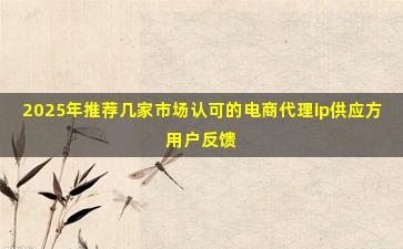 2025年推荐几家市场认可的电商代理ip供应方用户反馈