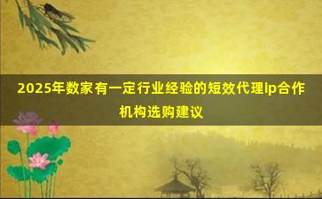 2025年数家有一定行业经验的短效代理ip合作机构选购建议